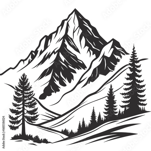 winter forest landscape