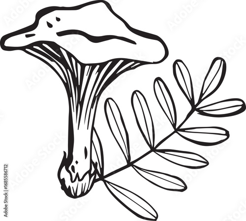 Styled vector illustration of a chanterelle mushroom and a twig. Illustration for autumn decor