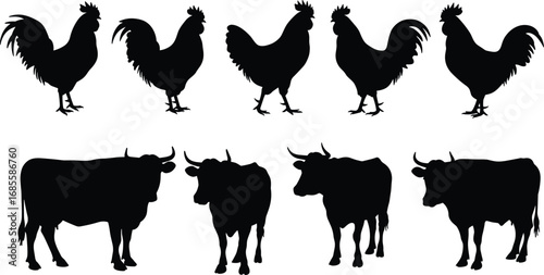 Silhouettes of farm animals, roosters and bulls, isolated on white background, livestock illustration, rural farming concept, graphic design element