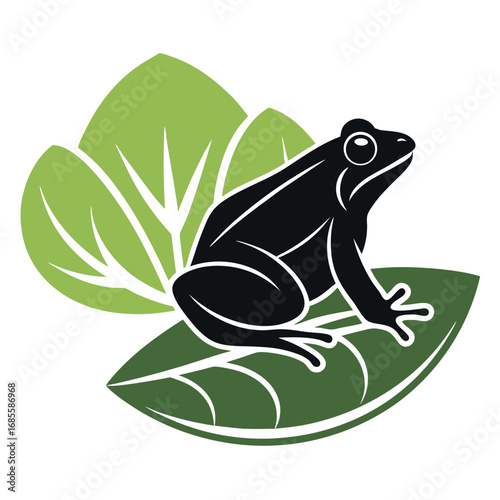 frog on leaf