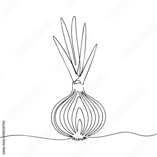 Continuous line of onion.Single one line art of onion, One continuous line illustration of an onion isolated on white background.