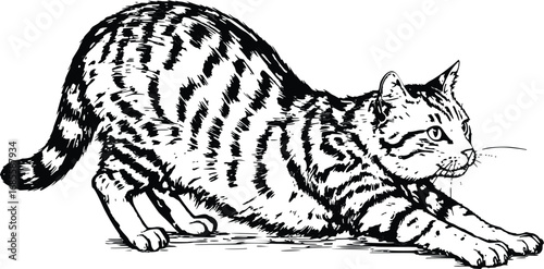 Wallpaper Mural Cat Line Art Illustration – Black and White Domestic Pet Drawing Torontodigital.ca