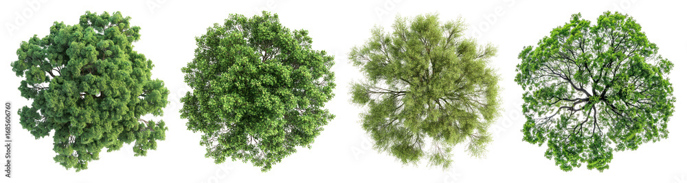 Obraz premium PNG Lush green tree tops, element set on transparent background