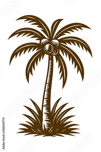 Vintage Coconut Palm Tree Vector – Tropical Island Design on White Background
