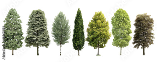 Row of diverse tree silhouettes