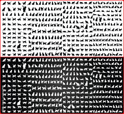 Large collection of cat silhouettes in various poses displayed in a divided black and white