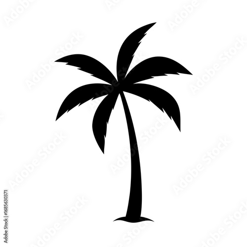 palm tree silhouette