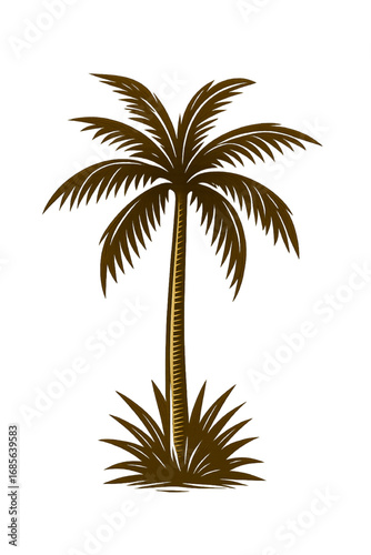 "Vintage Palm Tree with Coconuts – Tropical Vector Illustration on White Background"