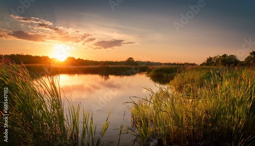 serene sunset over calm water surrounded by lush reeds and golden light