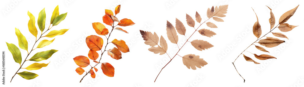 Fototapeta premium PNG Colorful autumn leaves illustration, element set on transparent background