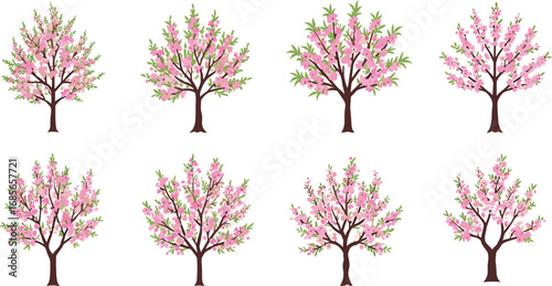 Beautiful pink cherry blossom trees vector illustration set with spring flowers, seasonal garden design, floral nature background, and blooming cartoon artwork