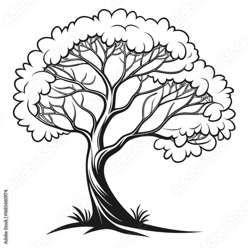 "Create a black and white illustration of a stylized tree with a curvy trunk, multiple flowing branches, and a full, rounded canopy made of soft, cloud-like clusters of leaves, giving a sense of grace