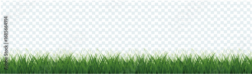 Green Grass Border With Transparent Background