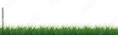 Green Grass Border With White Background