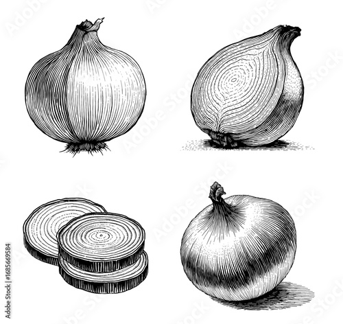Woodcut style onion illustration in black and white