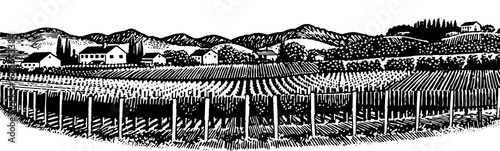 Vineyard landscape in a rustic woodcut style, in black and white, representing winemaking and rural life.