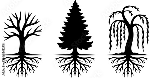 Tree Silhouette Vector Bundle