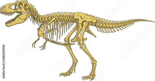 Tyrannosaurus Rex Skeleton, Prehistoric Dinosaur Bones, Paleontology Anatomy, Fossil Structure, Educational Vector Illustration, Science Museum Display, Jurassic Predator Art