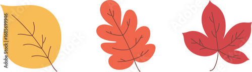 Three flat autumn leaves in yellow, orange, and red on white background fall leaf
