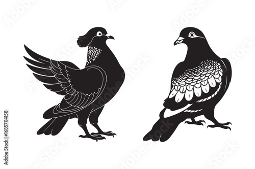 Two black pigeons in a detailed illustration style