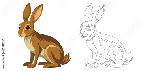 Hare cartoon vector illustration with color and outline version isolated on white background