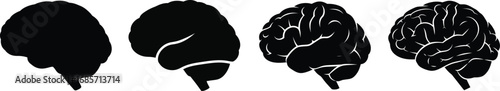 Set of four black human brain silhouettes showing progression.