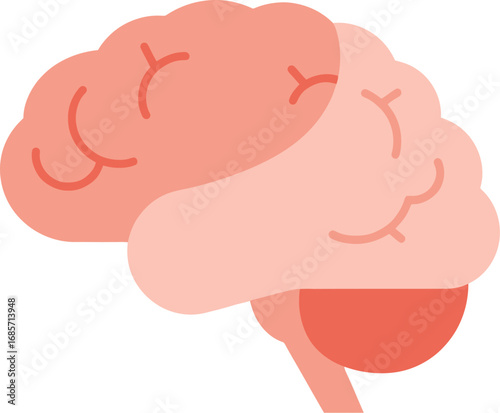 Simple flat vector illustration of the human brain.