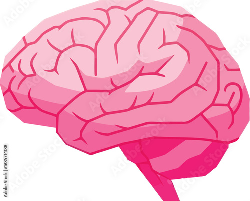 Simple pink human brain vector illustration isolated.