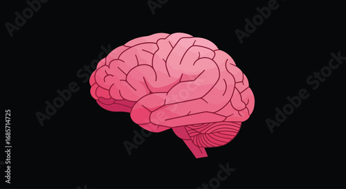 Anatomical illustration of a pink human brain side view.