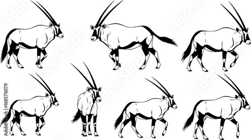 Oryx silhouettes, Oryx svg, Horned animal silhouettes, Horned oryx svg, Oryx gazella svg, Oryx vector set.