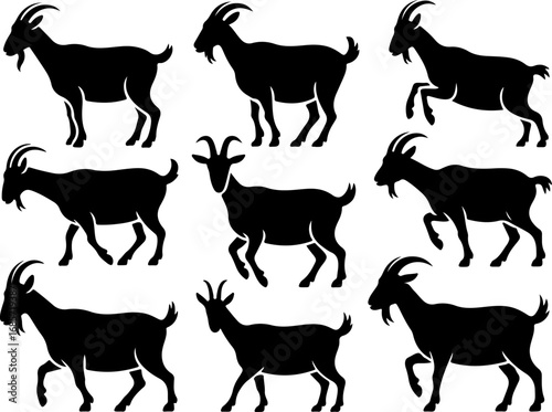 "Goat Silhouettes Collection – Wild and Domestic"