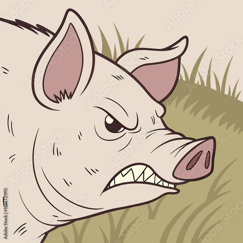 vector illustration of a cartoon angry pig