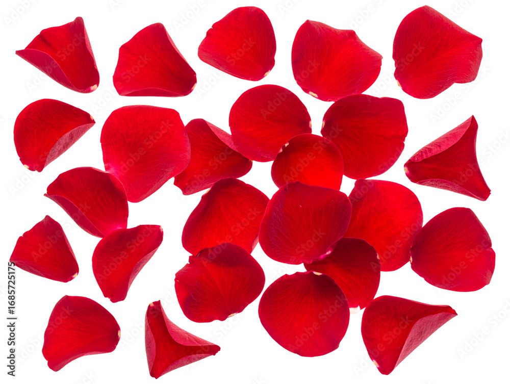 Fototapeta premium Floating Red Flower Petals in Gentle Breeze, Isolated PNG 
