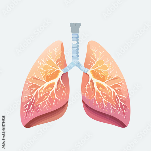 Illustration of human lungs with detailed bronchi and alveoli, representing the respiratory system and its functions