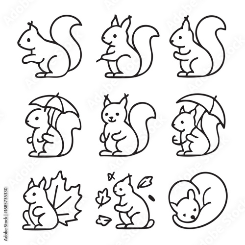 A set of linear icons depicting a squirrel. The icons are designed in a minimalist style with black outlines on a white background.