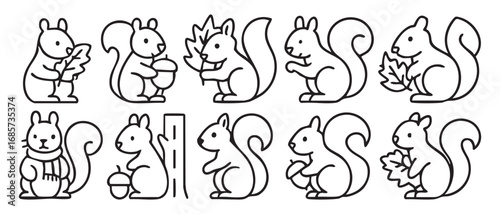 A set of linear icons depicting a squirrel. The icons are designed in a minimalist style with black outlines on a white background.