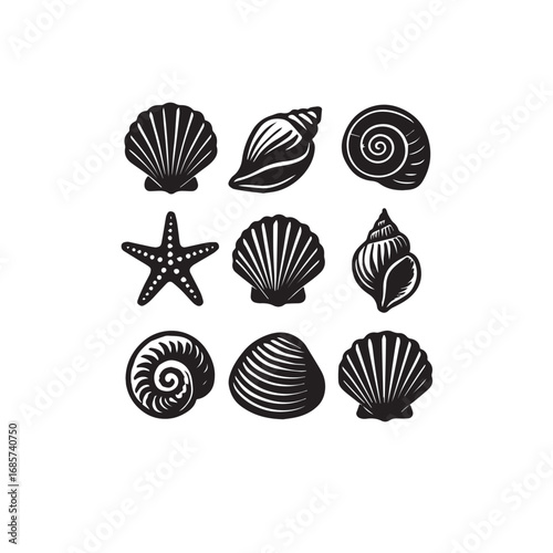 Collection of various seashell and starfish shapes isolated on white background