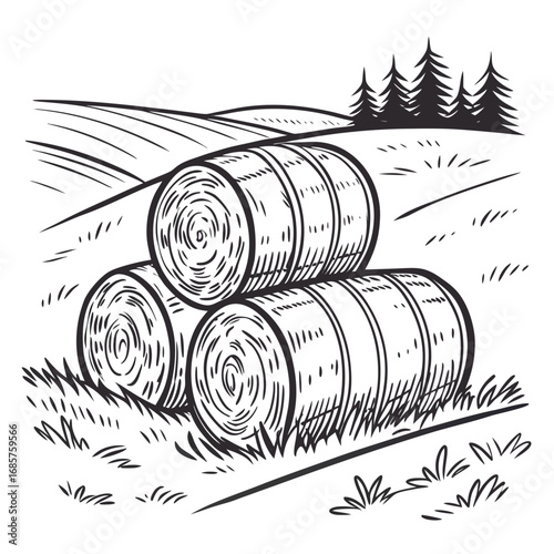 Hay bale farm drawing sketch. Hand drawn haystack. Isolated vector illustration.