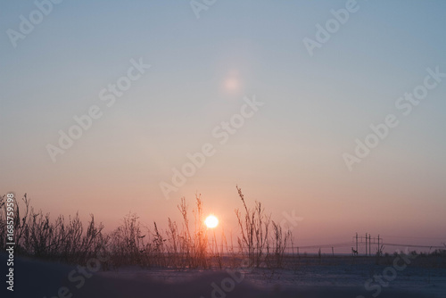 Frosty winter sunset in the field. Beautiful sunset in the snowy desert. Ice and sun..