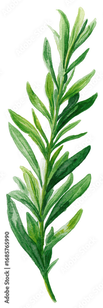 Fototapeta premium Detailed illustration of a vibrant green leaf