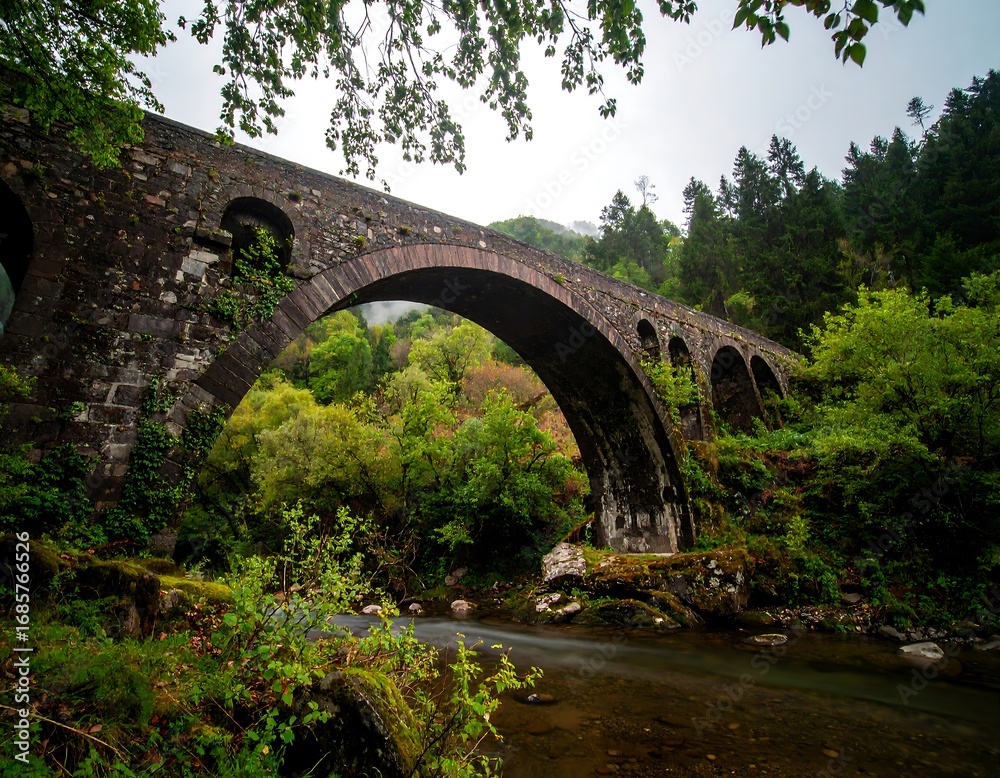 Fototapeta premium Ancient stone arch bridge over a tranquil river. Lush forest surrounds the structure
