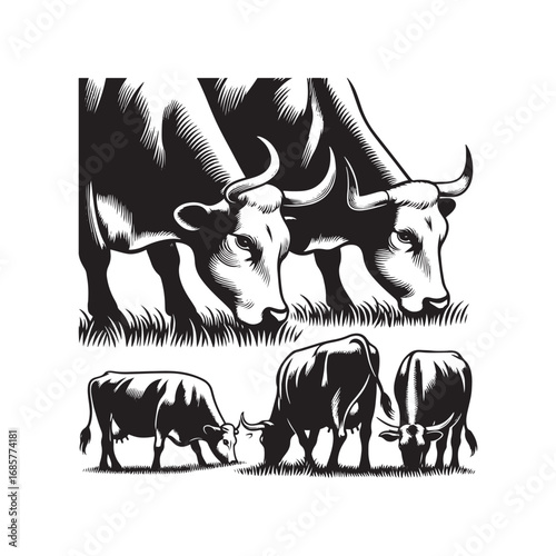 Black and White Vector Illustration of Cows Grazing in a Field