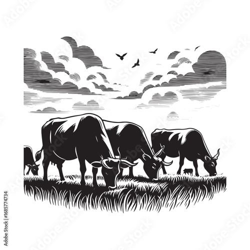 Black and White Vector Illustration of Cows Grazing in a Field