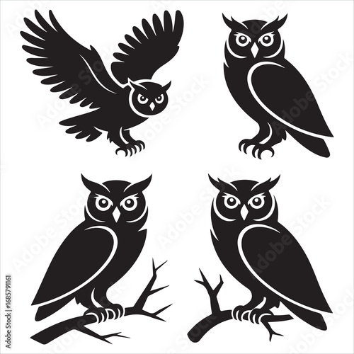 A set of cute vector owl illustrations, including a flying silhouette with wings and black feathers, drawn in a cartoon style