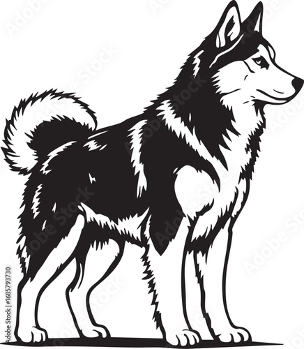 Noble and fluffy Siberian husky dog mascot illustration

