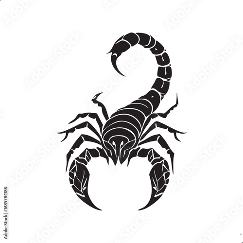 Strong black scorpion with its tail up illustration

