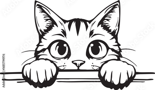 Wide-eyed cat peeking over a line with its paws

