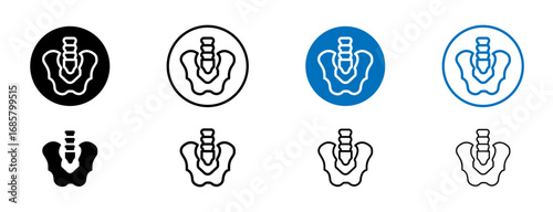 Pelvic area icons set in black and blue colors on white background