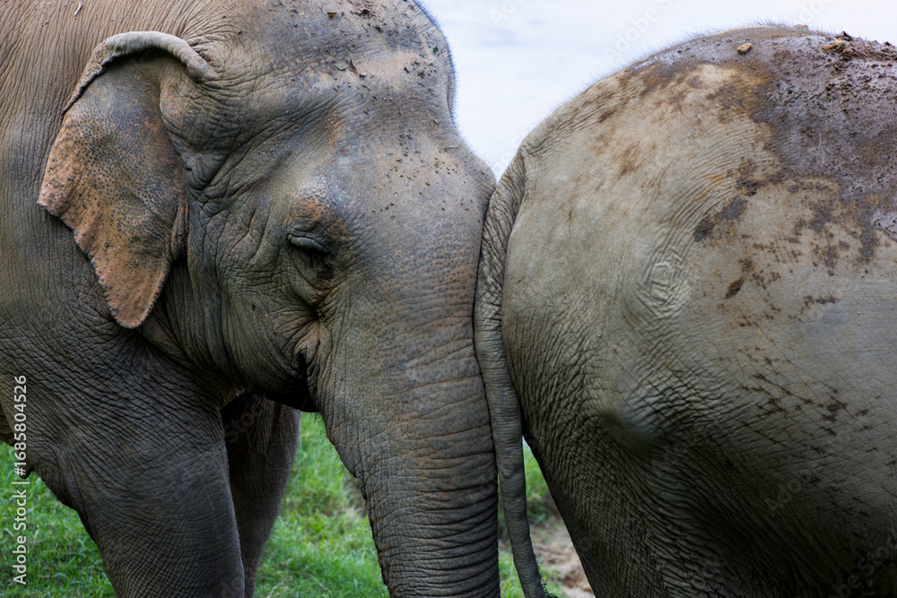 Fototapeta premium Infinite love 