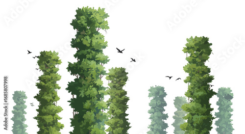 Tall forest trees with birds in flight against a clear sky